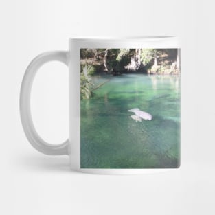 Manatees Swimming at Blue Springs State Park Florida Mug